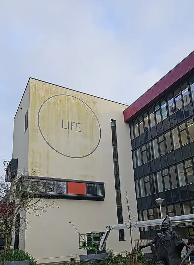 Kopgevel van een universiteitsgebouw in Wageningen volledig groen uitgeslagen door algen
